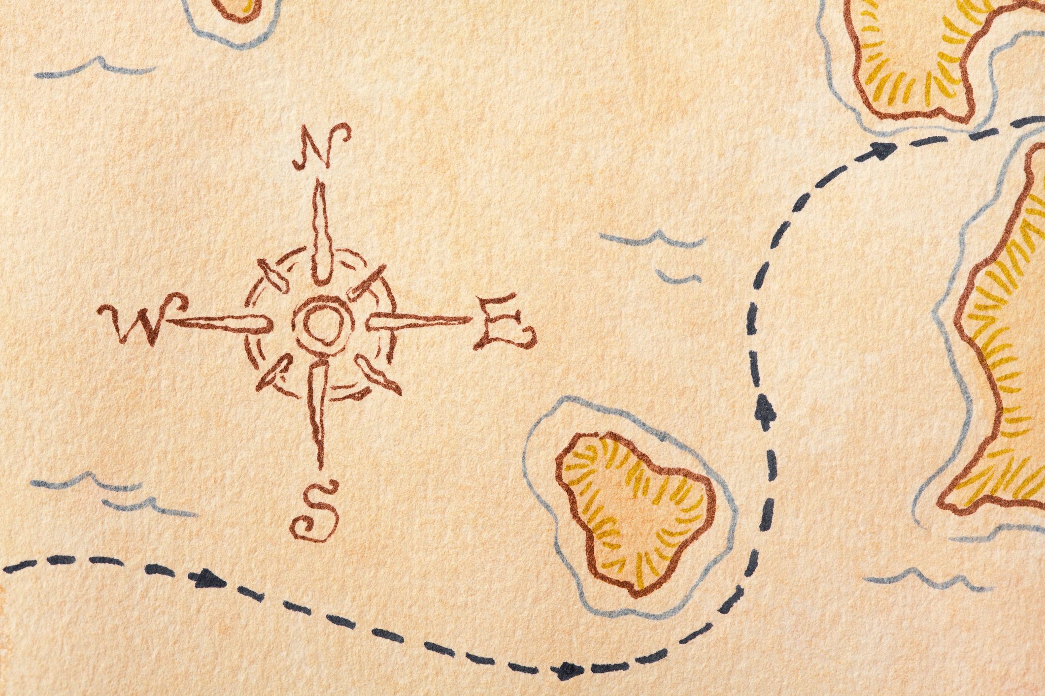 Vintage map compass rose detail